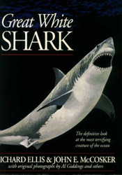 GREAT WHITE SHARK 1