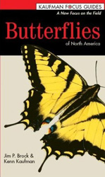 KAUFMAN FOCUS GUIDES. BUTTERFLIES OF NORTH AMERICA 1