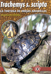 LA TORTUGA DE OREJAS AMARILLAS. TRACHEMYS S. SCRIPTA 1