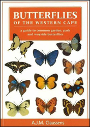 BUTTERFLIES OF THE WESTERN CAPE. A GUIDE TO COMMON GARDEN, PARK AND WAYSIDE BUTTERFLIES 1