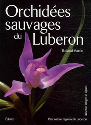 ORCHIDÉES SAUVAGES DU LUBERON 1