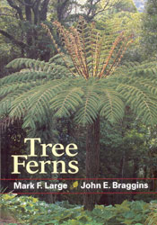 TREE FERNS 1