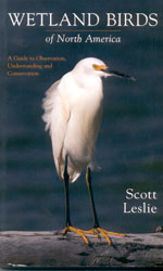 WETLAND BIRDS OF NORTH AMERICA. A GUIDE TO OBSERVATION, UNDERSTANDING AND CONSERVATION 1