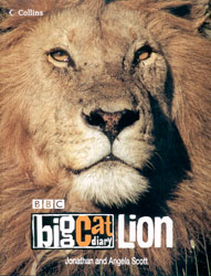 BBC BIG CAT DIARY LION. 1