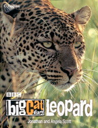 BBC BIG CAT DIARY LEOPARD. 1