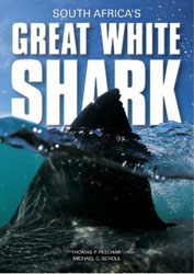 SOUTH AFRICA'S GREAT WHITE SHARK 1