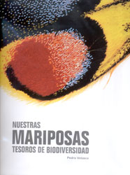 NUESTRAS MARIPOSAS. TESOROS DE BIODIVERSIDAD 1