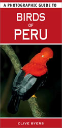 A PHOTOGRAPHIC GUIDE TO BIRDS OF PERU 1