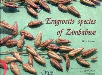 ERAGROSTIS SPECIES OF ZIMBABWE 1