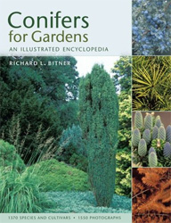 CONIFERS FOR GARDENS: AN ILLUSTRATED ENCYCLOPEDIA 1