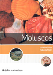 MOLUSCOS 1