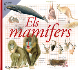 ELS MAMÍFERS. GUIES DE CAMP 1