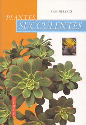 PLANTES SUCCULENTES 1