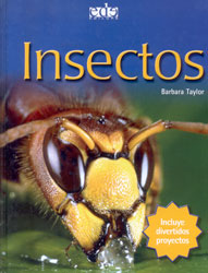 INSECTOS 1