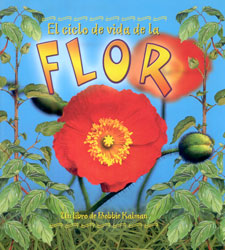 EL CICLO DE VIDA DE LA FLOR 1