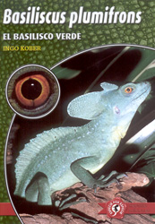 BASILISCUS PLUMIFRONS. EL BASILISCO VERDE 1