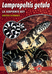 LAMPROPELTIS GETULA. LA SERPIENTE REY 1
