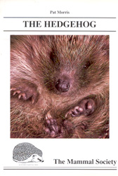 THE HEDGEHOG 1