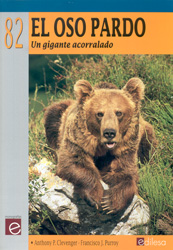 EL OSO PARDO. UN GIGANTE ACORRALADO 1