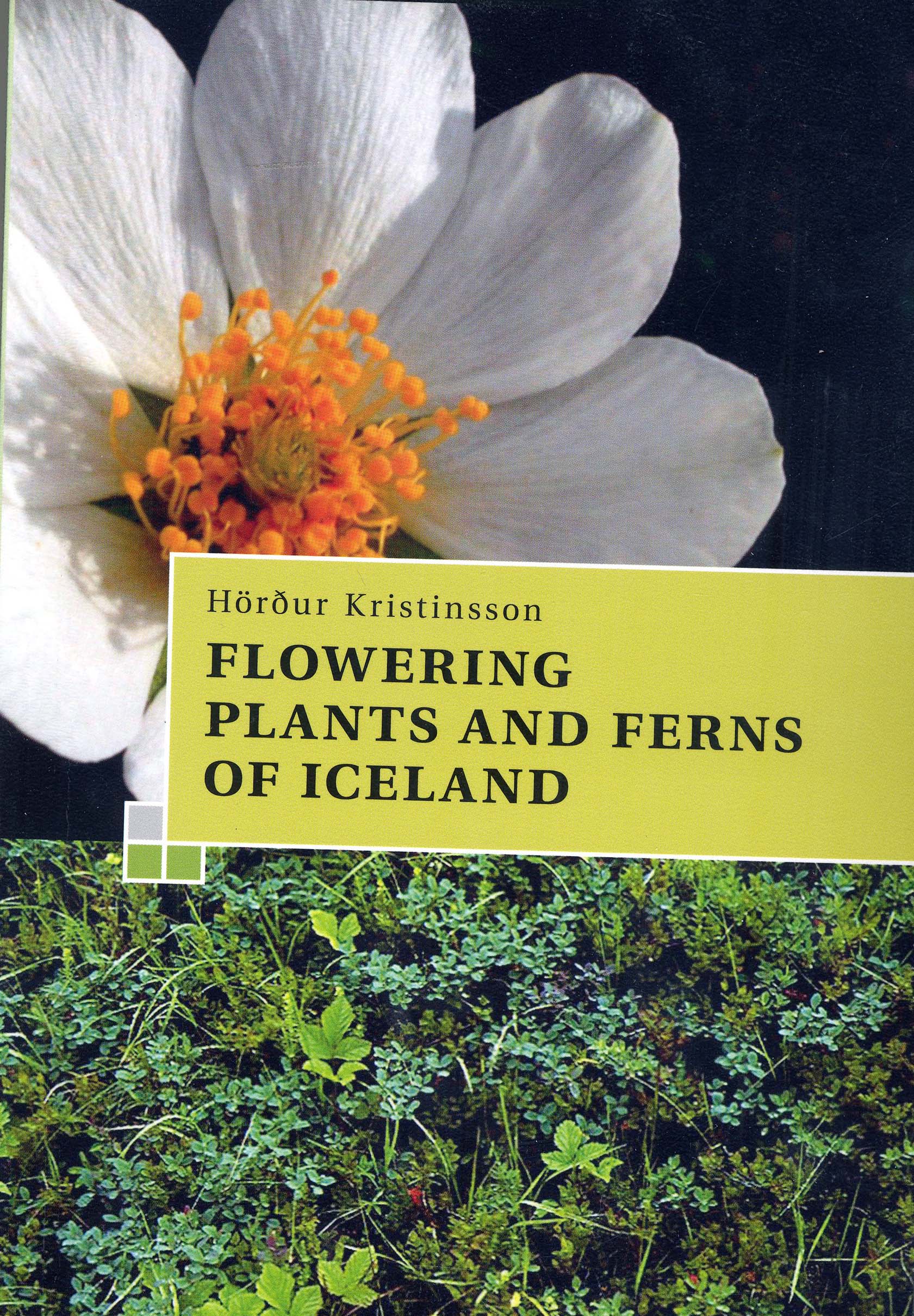 A GUIDE TO THE FLOWERING PLANTS AND FERNS OF ICELAND 1