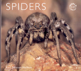 SPIDERS 1