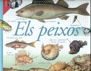 ELS PEIXOS. GUIES DE CAMP 1