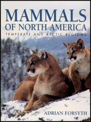 MAMMALS OF NORTH AMERICA. TEMPERATE AND ARCTIC REGIONS 1