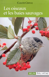 LES OISEAUX ET LES BAIES SAUVAGES 1