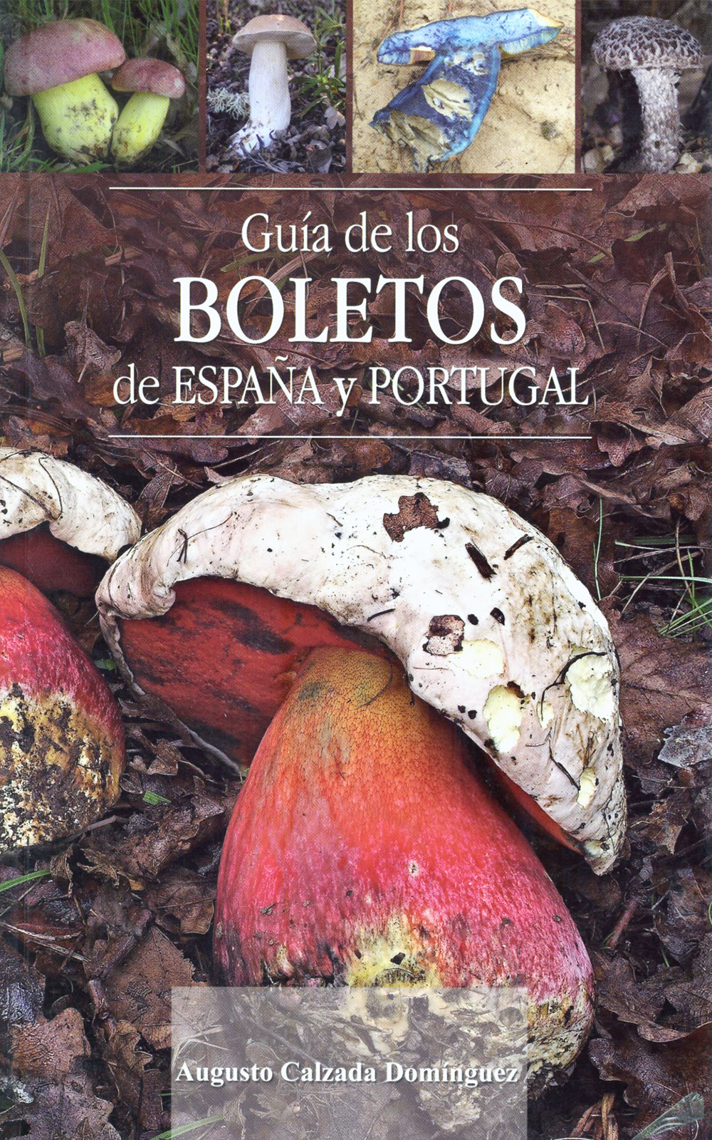 GUÍA DE LOS BOLETOS DE ESPAÑA Y PORTUGAL 1