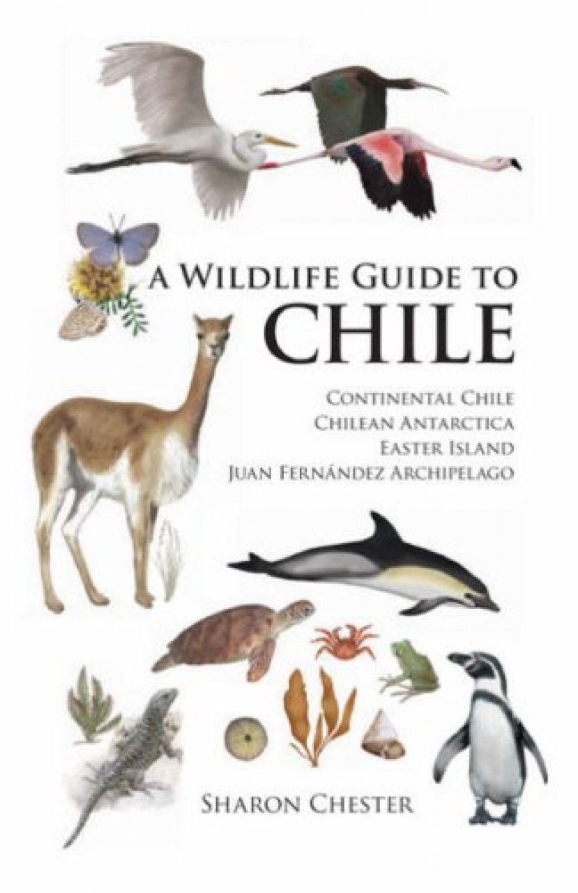 A WILDLIFE GUIDE TO CHILE 1