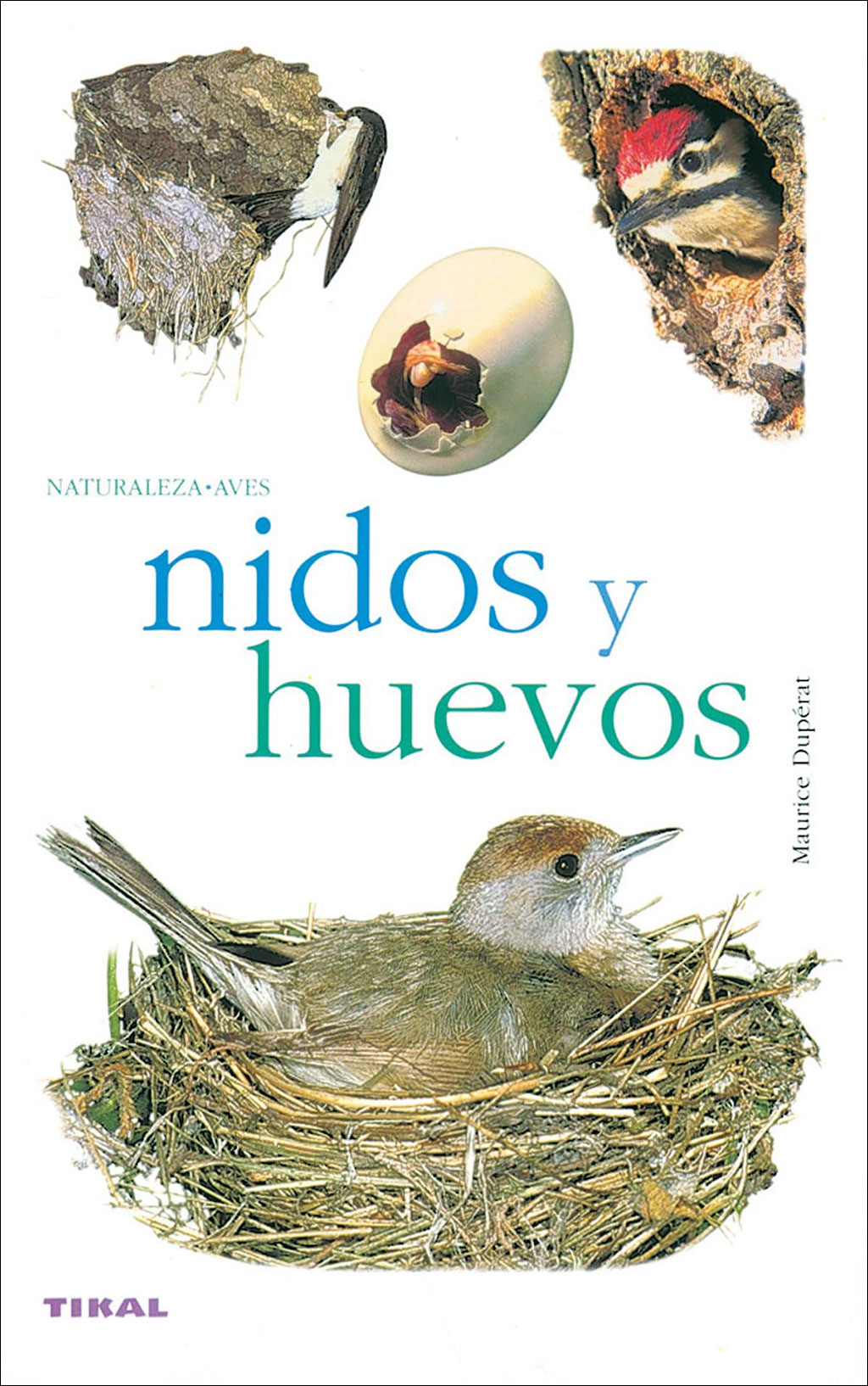 NIDOS Y HUEVOS 1