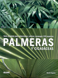 PALMERAS Y CICADÁCEAS 1