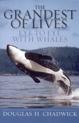THE GRANDEST OF LIVES. EYE TO EYE WITH WHALES 1