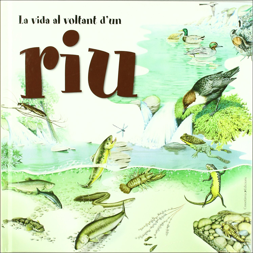 LA VIDA AL VOLTANT D'UN RIU 1