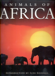 ANIMALS OF AFRICA 1