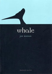 WHALE 1