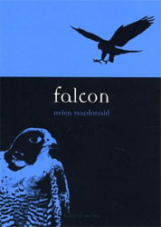 FALCON 1