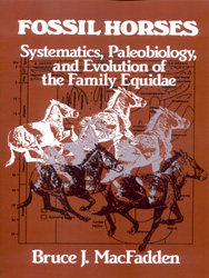 FOSSIL HORSES 1