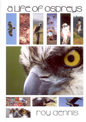 A LIFE OF OSPREYS 1
