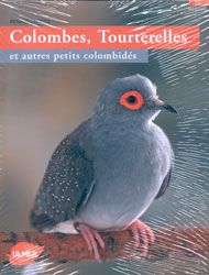 COLOMBES, TOURTERELLES ET AUTRES PETITS COLOMBIDÉS 1