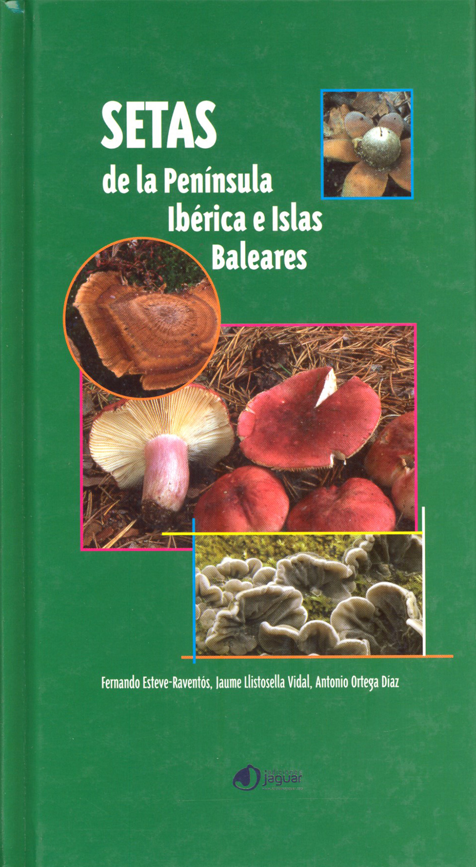 SETAS DE LA PENÍNSULA IBÉRICA E ISLAS BALEARES 1