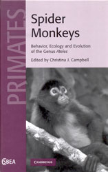 SPIDER MONKEYS 1