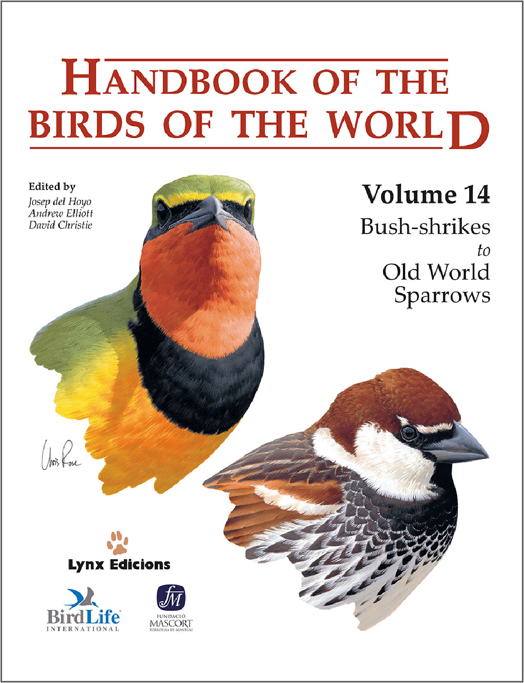 HANDBOOK OF THE BIRDS OF THE WORLD, VOL. 14. BUSH-SHRIKES TO OLD WORLD SPARROWS 1