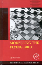 MODELLING THE FLYING BIRD 1