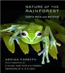 NATURE OF THE RAINFOREST 1