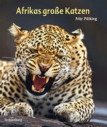 AFRIKAS GROSSE KATZEN 1