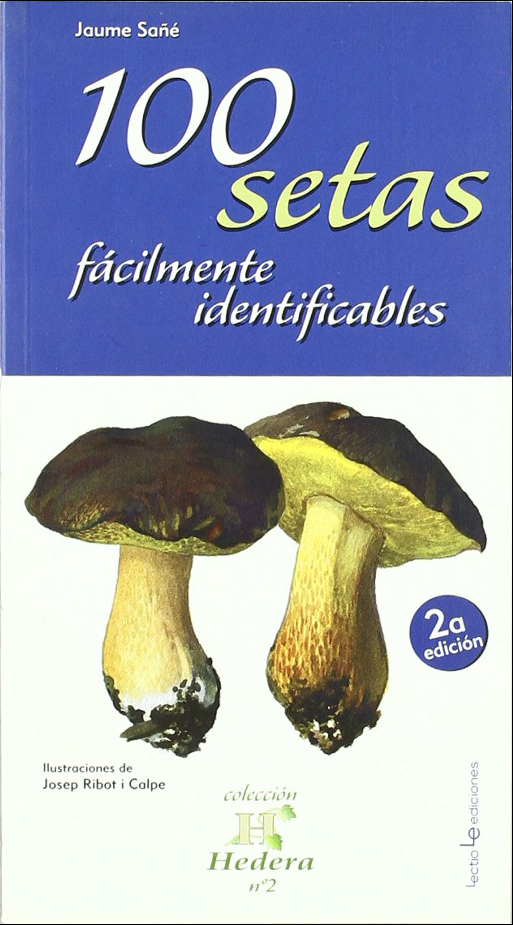 100 SETAS FÁCILMENTE IDENTIFICABLES 1