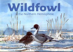 WILDFOWL OF THE NORTHERN HEMISPHERE 1