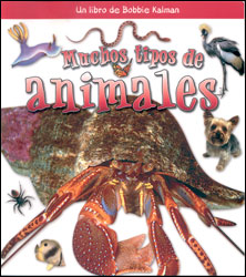 MUCHOS TIPOS DE ANIMALES 1