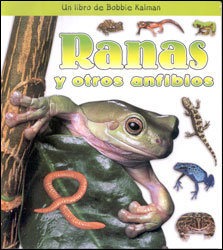 RANAS Y OTROS ANFIBIOS 1